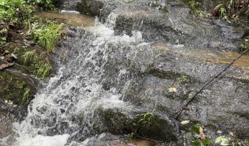 Photo #31 of TBD STRIBLING SPRINGS RD, MOUNT SOLON, VA 33.0 acres