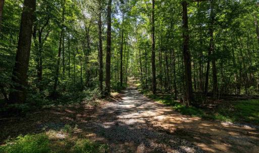 Photo #8 of TBD STRIBLING SPRINGS RD, MOUNT SOLON, VA 33.0 acres