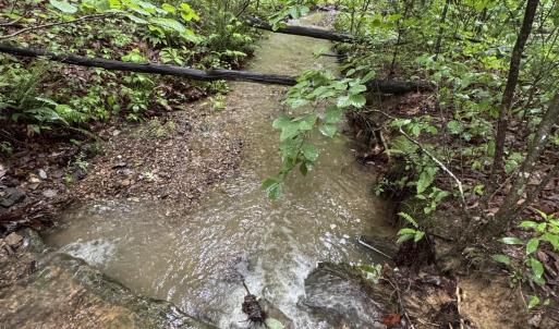 Photo #26 of TBD STRIBLING SPRINGS RD, MOUNT SOLON, VA 33.0 acres