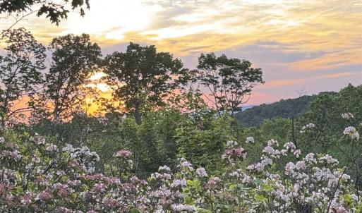 Photo #21 of TBD STRIBLING SPRINGS RD, MOUNT SOLON, VA 33.0 acres