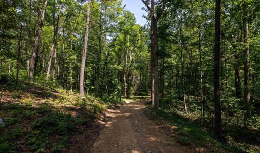Photo #9 of TBD STRIBLING SPRINGS RD, MOUNT SOLON, VA 33.0 acres