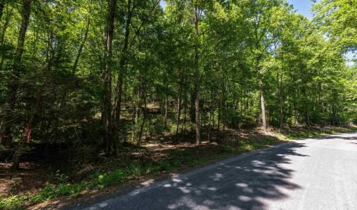 Photo #7 of TBD STRIBLING SPRINGS RD, MOUNT SOLON, VA 33.0 acres