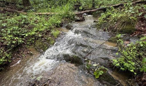 Photo #25 of TBD STRIBLING SPRINGS RD, MOUNT SOLON, VA 33.0 acres
