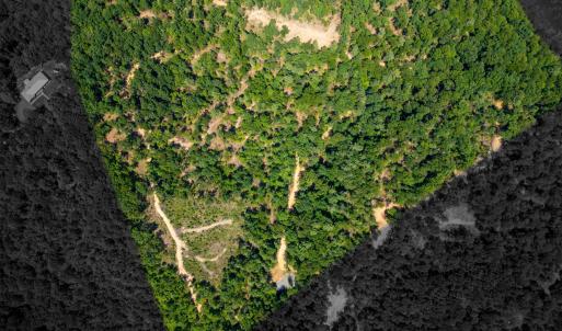 Photo #2 of TBD STRIBLING SPRINGS RD, MOUNT SOLON, VA 33.0 acres