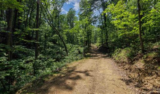 Photo #38 of TBD STRIBLING SPRINGS RD, MOUNT SOLON, VA 33.0 acres