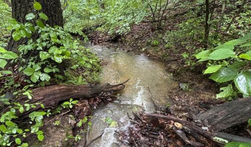 Photo #28 of TBD STRIBLING SPRINGS RD, MOUNT SOLON, VA 33.0 acres