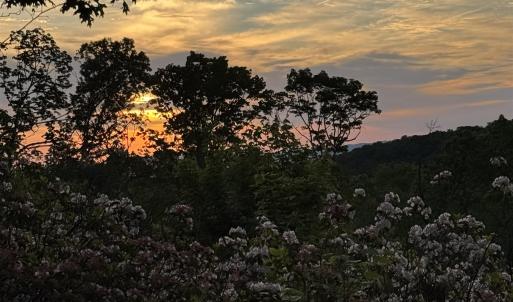 Photo #22 of TBD STRIBLING SPRINGS RD, MOUNT SOLON, VA 33.0 acres