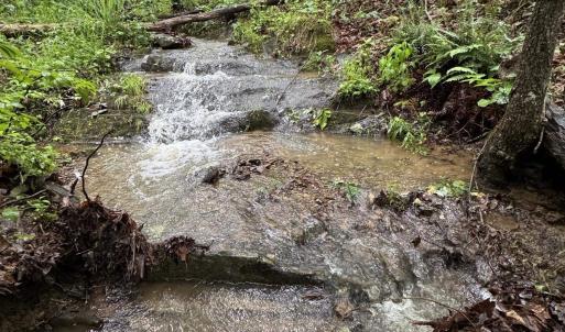 Photo #29 of TBD STRIBLING SPRINGS RD, MOUNT SOLON, VA 33.0 acres