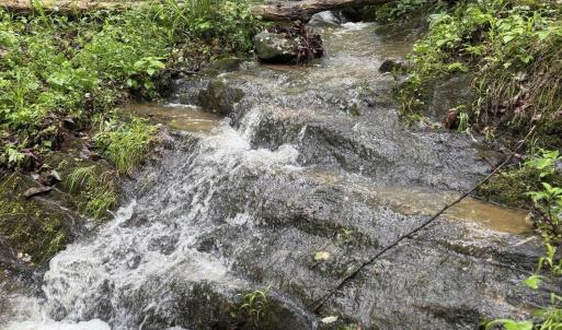 Photo #30 of TBD STRIBLING SPRINGS RD, MOUNT SOLON, VA 33.0 acres