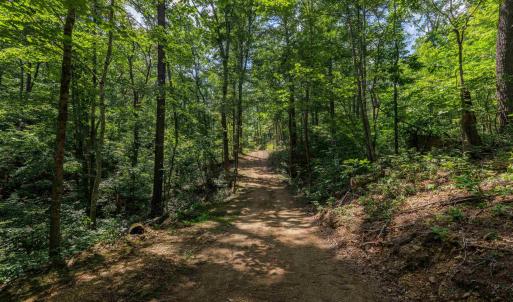 Photo #11 of TBD STRIBLING SPRINGS RD, MOUNT SOLON, VA 33.0 acres