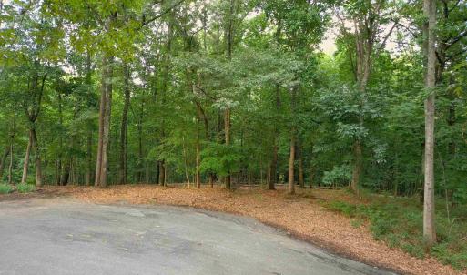 Photo #3 of Lot 22 MOUNTAIN LAUREL RDG, CHARLOTTESVILLE, VA 6.6 acres