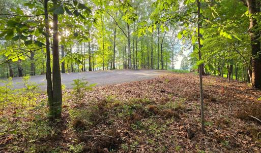 Photo #7 of Lot 22 MOUNTAIN LAUREL RDG, CHARLOTTESVILLE, VA 6.6 acres