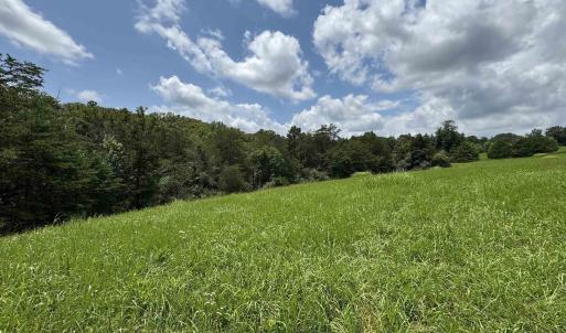 Photo #10 of TBD FISHPOND RD, HOWARDSVILLE, VA 6.4 acres