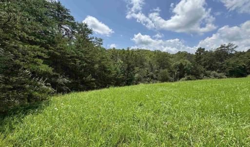 Photo #11 of TBD FISHPOND RD, HOWARDSVILLE, VA 6.4 acres