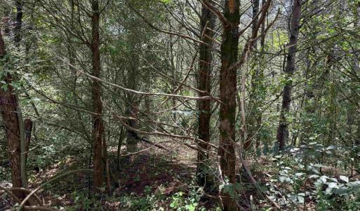 Photo #13 of TBD FISHPOND RD, HOWARDSVILLE, VA 6.4 acres