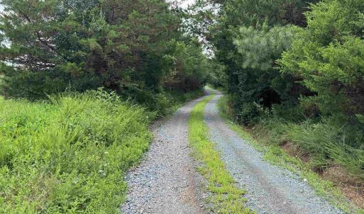 Photo #3 of TBD FISHPOND RD, HOWARDSVILLE, VA 6.4 acres