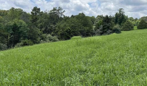 Photo #2 of TBD FISHPOND RD, HOWARDSVILLE, VA 6.4 acres