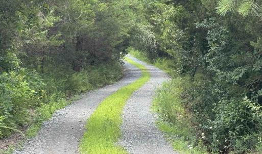 Photo #4 of TBD FISHPOND RD, HOWARDSVILLE, VA 6.4 acres