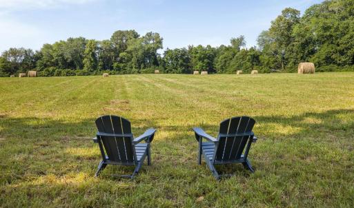 Photo #17 of 76.99 acres COLES ROLLING RD, SCOTTSVILLE, VA 77.0 acres