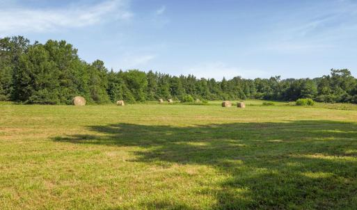 Photo #30 of 76.99 acres COLES ROLLING RD, SCOTTSVILLE, VA 77.0 acres