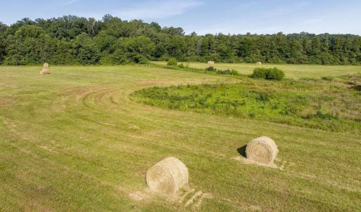 Photo #29 of 76.99 acres COLES ROLLING RD, SCOTTSVILLE, VA 77.0 acres
