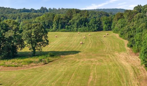 Photo #12 of 76.99 acres COLES ROLLING RD, SCOTTSVILLE, VA 77.0 acres