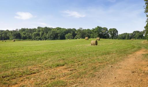 Photo #24 of 76.99 acres COLES ROLLING RD, SCOTTSVILLE, VA 77.0 acres