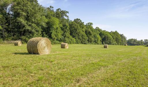 Photo #19 of 76.99 acres COLES ROLLING RD, SCOTTSVILLE, VA 77.0 acres