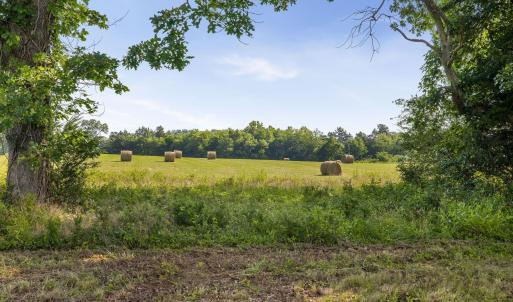 Photo #15 of 76.99 acres COLES ROLLING RD, SCOTTSVILLE, VA 77.0 acres