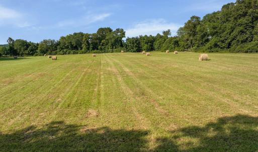 Photo #27 of 76.99 acres COLES ROLLING RD, SCOTTSVILLE, VA 77.0 acres