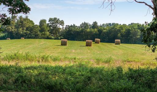 Photo #16 of 76.99 acres COLES ROLLING RD, SCOTTSVILLE, VA 77.0 acres