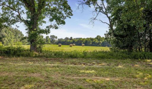 Photo #5 of 76.99 acres COLES ROLLING RD, SCOTTSVILLE, VA 77.0 acres