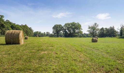 Photo #4 of 76.99 acres COLES ROLLING RD, SCOTTSVILLE, VA 77.0 acres