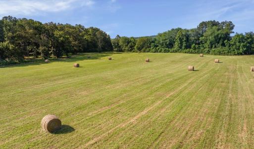 Photo #13 of 76.99 acres COLES ROLLING RD, SCOTTSVILLE, VA 77.0 acres