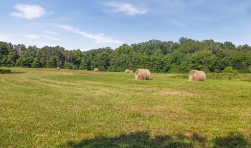 Photo #32 of 76.99 acres COLES ROLLING RD, SCOTTSVILLE, VA 77.0 acres