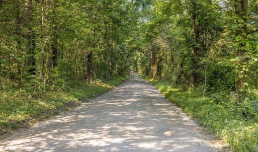 Photo #26 of 76.99 acres COLES ROLLING RD, SCOTTSVILLE, VA 77.0 acres