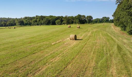 Photo #11 of 76.99 acres COLES ROLLING RD, SCOTTSVILLE, VA 77.0 acres