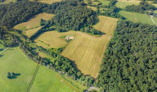 Photo #7 of 76.99 acres COLES ROLLING RD, SCOTTSVILLE, VA 77.0 acres
