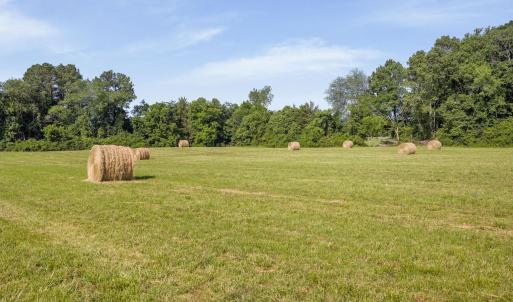 Photo #20 of 76.99 acres COLES ROLLING RD, SCOTTSVILLE, VA 77.0 acres