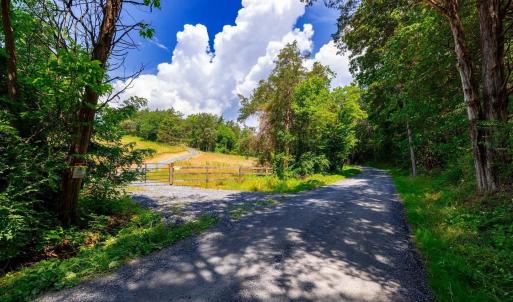 Photo #13 of Lot 12 SHULER LN, STANLEY, VA 11.5 acres