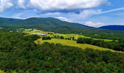 Photo #10 of Lot 12 SHULER LN, STANLEY, VA 11.5 acres
