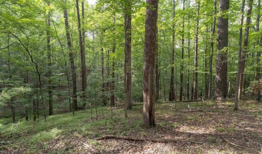 Photo #1 of TBD DECCA LN, CHARLOTTESVILLE, VA 6.5 acres