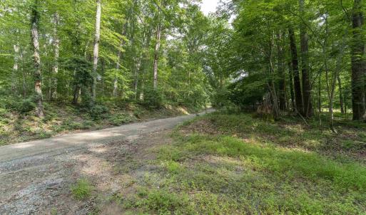 Photo #7 of TBD DECCA LN, CHARLOTTESVILLE, VA 6.5 acres