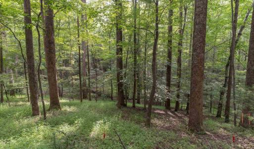 Photo #2 of TBD DECCA LN, CHARLOTTESVILLE, VA 6.5 acres