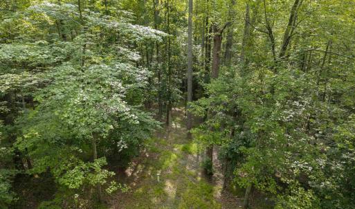 Photo #4 of TBD DECCA LN, CHARLOTTESVILLE, VA 6.5 acres