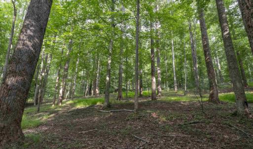 Photo #3 of TBD DECCA LN, CHARLOTTESVILLE, VA 6.5 acres