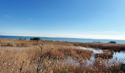 Photo #4 of Lot 719 CASTAWAY DR, GREENBACKVILLE, VA 9.0 acres