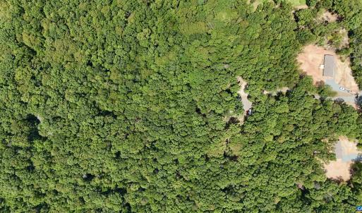 Photo #2 of N-74 SALEM RD, SCHUYLER, VA 11.6 acres