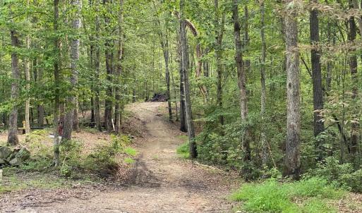 Photo #11 of N-74 SALEM RD, SCHUYLER, VA 11.6 acres