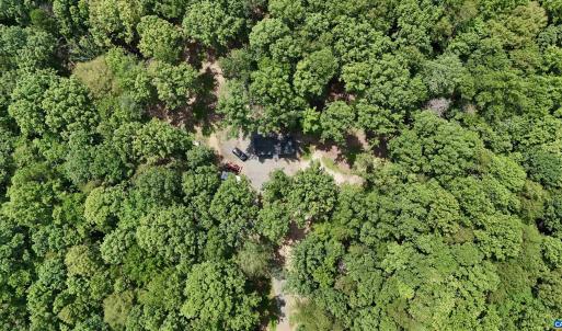 Photo #4 of N-74 SALEM RD, SCHUYLER, VA 11.6 acres